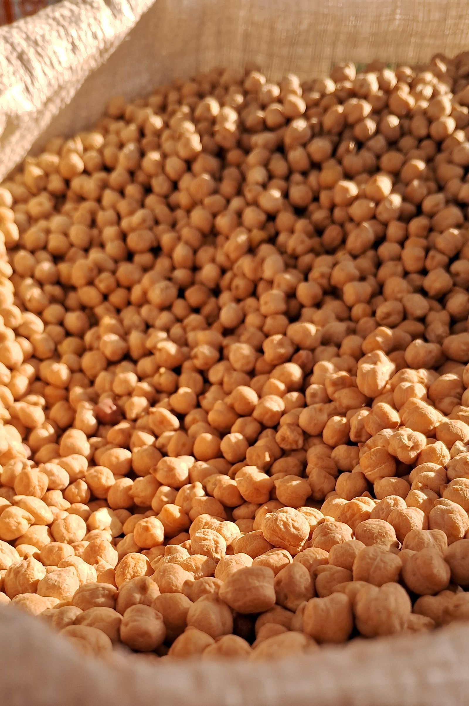 Garbanzos crudos en un saco de yute